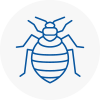 Bed Bug Extermination In Goole